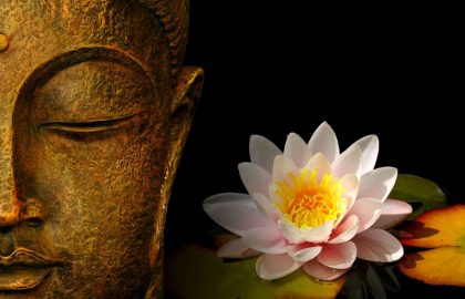בודהיזם והתרופה לסבל במאה ה-21