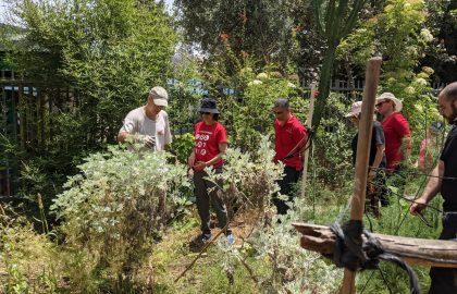 פעולת התנדבות בגינה קהילתית ברח' קרני, סניף תל אביב