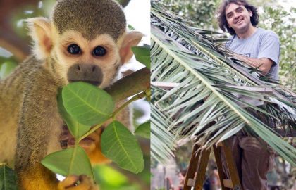 פעילות התנדבות בפארק ומקלט הקופים הישראלי