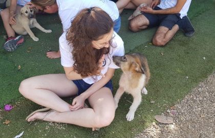 התנדבנות בעמותת SOS להצלת חיות בהרצליה, סניף תל אביב